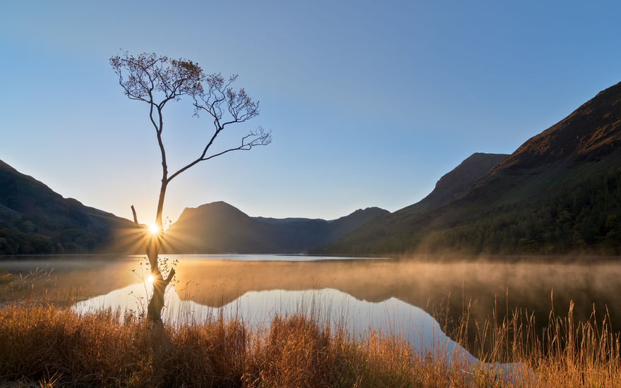 The Lone Tree during sunrise at Buttermere, Lake District