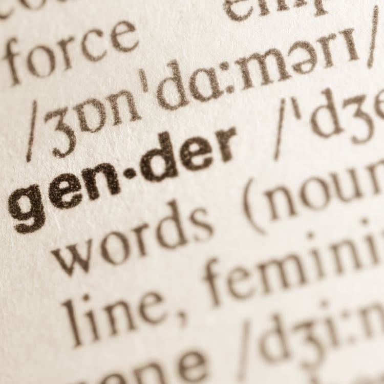 Definition of word gender in dictionary