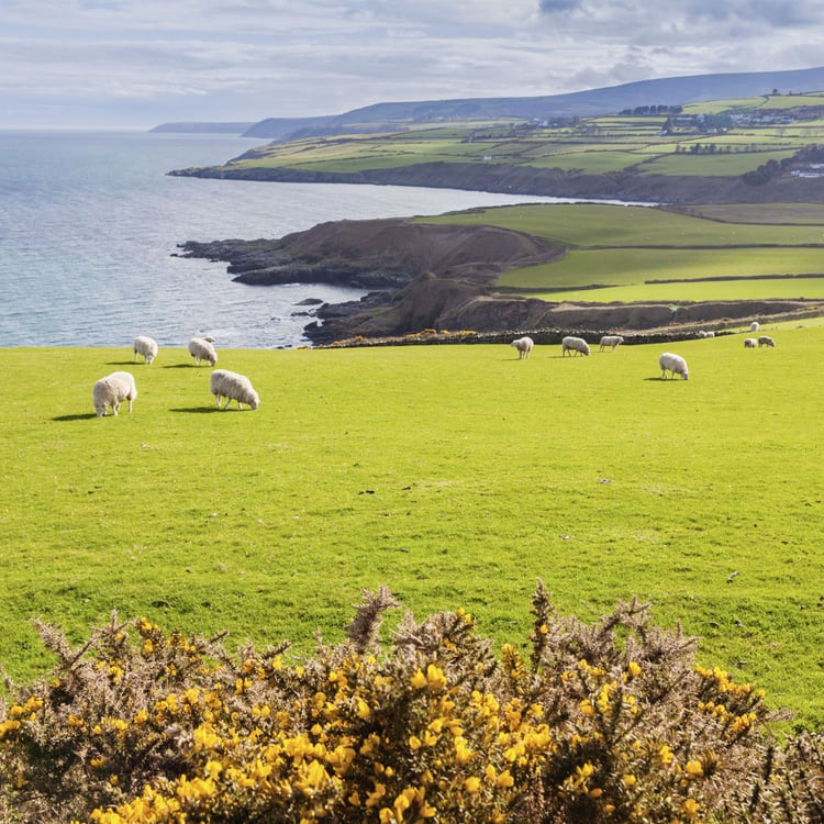 Spring panorama of Isle of Man. Isle of Man.