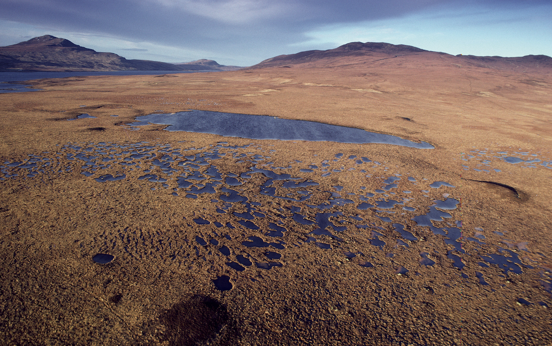 Image of the Flow Country with mountains in background and peat bog in foreground