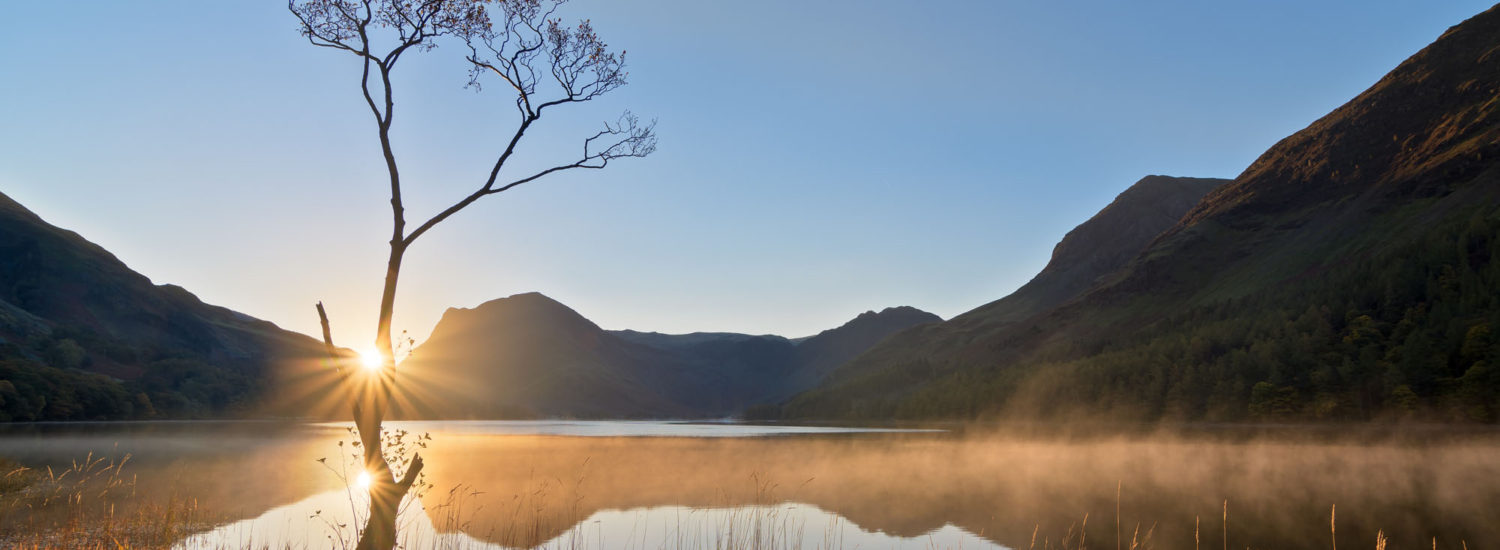 The Lone Tree during sunrise at Buttermere, Lake District