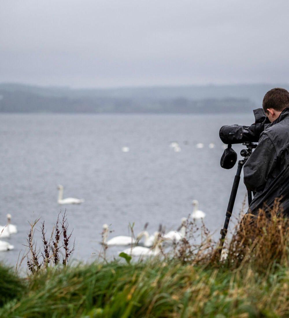 Birding for Brents event part of Wild Goose Festival 2022 at Stranraer.